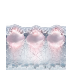 Nanosoft S3
